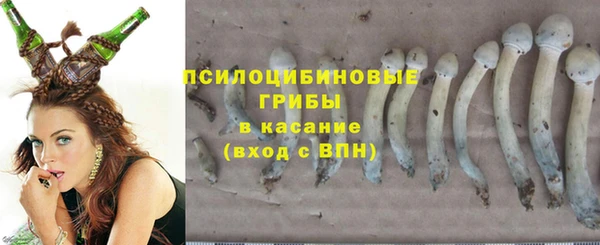 МДПВ Абдулино