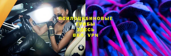 ECSTASY Абаза