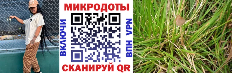 MEGA tor  магазин    Камызяк  Псилоцибиновые грибы мицелий 